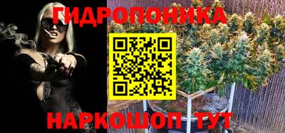 ешки Шебекино