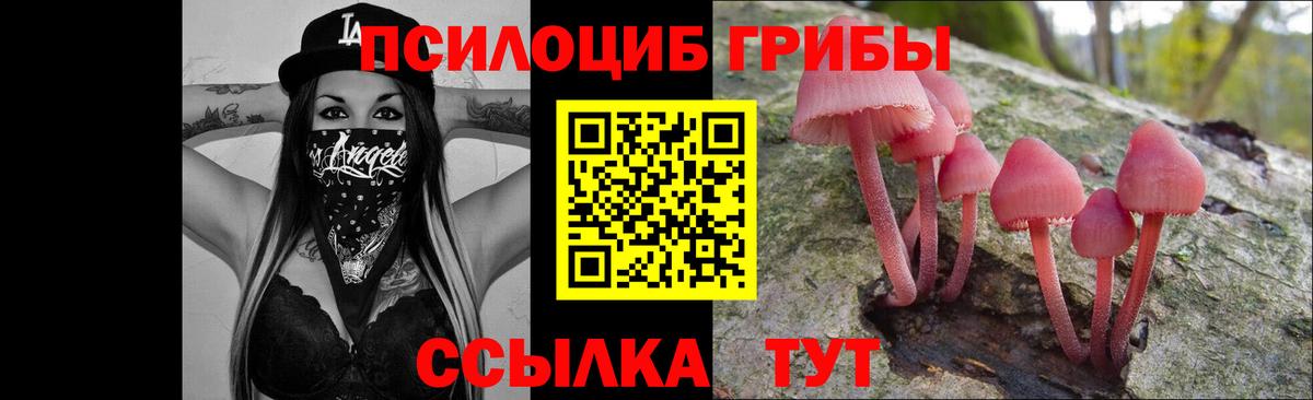 Псилоцибиновые грибы мицелий Асбест